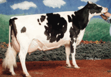 Rayverley Leader Eva EX-91