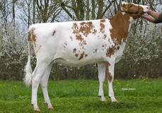 R&B Sw Aimy Red VG-85 R&B Sw Aimy Red VG-85