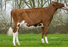 R&B Wr Melanie Red VG-87