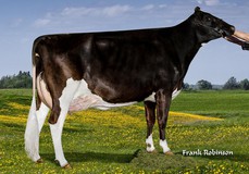 Regancrest DGR Brysha VG-88