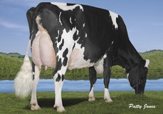 Regancrest S Celebrity EX-94