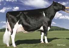 Regancrest-PR Barbie EX-92