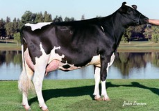 Regancrest-RH Durham Bliss VG-89 Regancrest-RH Durham Bliss VG-89
