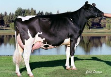 Regancrest-RH Durham Bliss VG-89