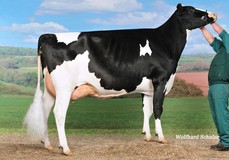 KNS Rendezvous VG-85