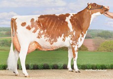 RH Maibrit EX-92