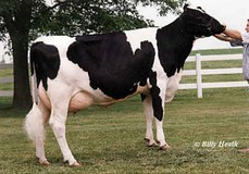 Ricecrest Luke Lauren EX-91