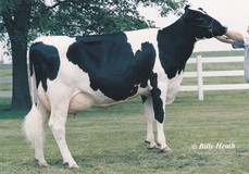 Ricecrest Luke Lauren EX-91