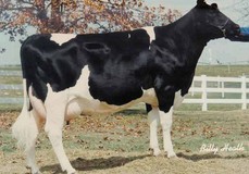 Ricecrest Southwind Kaye VG-87