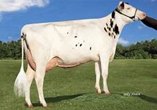 Richmond-FD Barbie EX-92 Richmond-FD Barbie EX-92