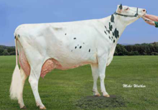 Richmond-FD Barbie EX-92 Richmond-FD Barbie EX-92