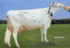 Richmond-FD Barbie EX-92