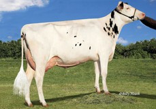 Richmond-FD Barbie EX-92 Richmond-FD Barbie EX-92