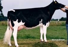 RR Rieke VG-87