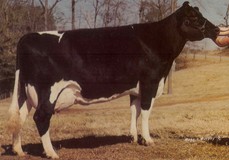 Rilara Mars Las Ravena EX-91