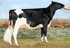 Rosedale Achieverslegacy VG-89