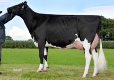 RR Roeschen VG-88