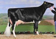 RR Röslein RDC VG-87