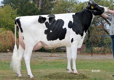 KHE Isolde VG-87