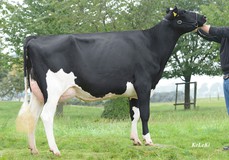 RUW Gibsy VG-87