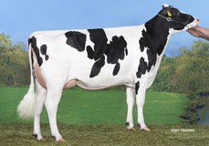 RZN Shila EX-90 RZN Shila EX-90