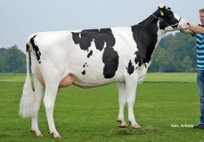 Sanderij Massia Sneeuwwitje RDC VG-89