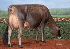 Schulte Bros Tequila Shot EX-93