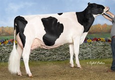 Scientific Decadent Rae RDC EX-92