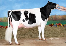 Scientific Sid Designer Rae EX-90, Sid x Scientific Decadent Rae RDC EX-92