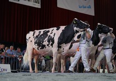 Seegers Indiana EX-92