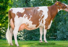 Share DG Agnieska-Red EX-90