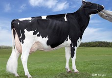 Chassity EX-92, full sister to Celebrity EX-94