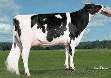 Simple-Dreams Md Candi-ET VG-89