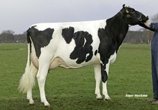 Southland Dellia 39 VG-87