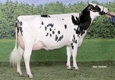 Southland Dellia 130 VG-87