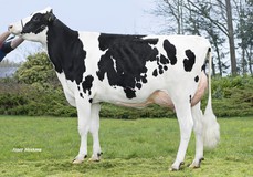 SPH Germania VG-86