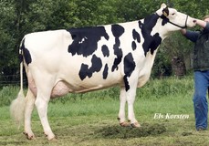 Stoetje 2 VG-86