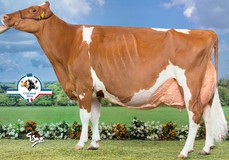 Suard-Red Jordan Irene EX-97