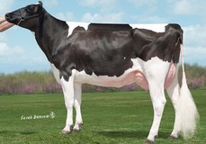 Sully Planet Manitoba VG-85