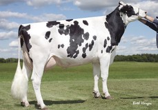 Sully Shottle May EX-91