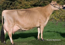 Sunset Canyon Lemvig Maid 4 EX-93