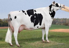 Teemar O-Man Airtime VG-87