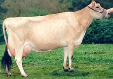 Tenn Haug E Maid EX-93