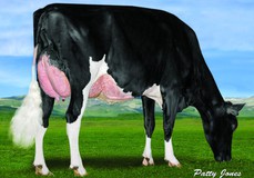 Thurler Commander Chantal EX-90