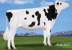 Thurler Kingboy Robert-ET VG-86