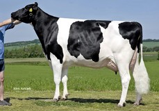 Tirsvad BT Noma VG-89