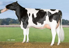 Tirsvad Massey Gaga VG-87