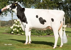 Tirsvad Silver Giga-Star VG-87