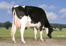 Tirsvad Stol Joc Nemo VG-87