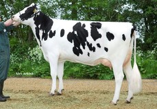 Veenhuizer Nelleke VG-87